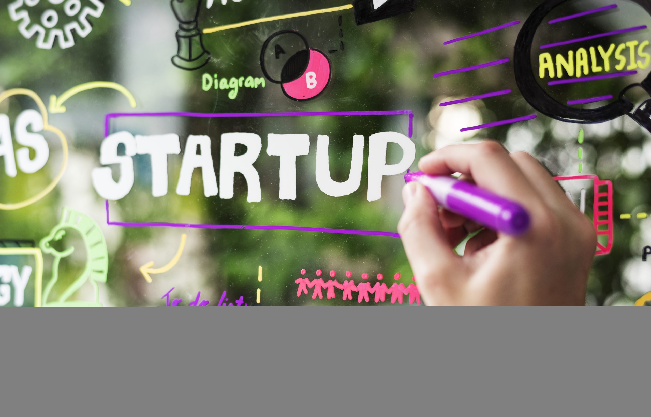 5-reasons-startups-fail