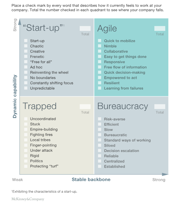 mckinsey-categories-of-organisations