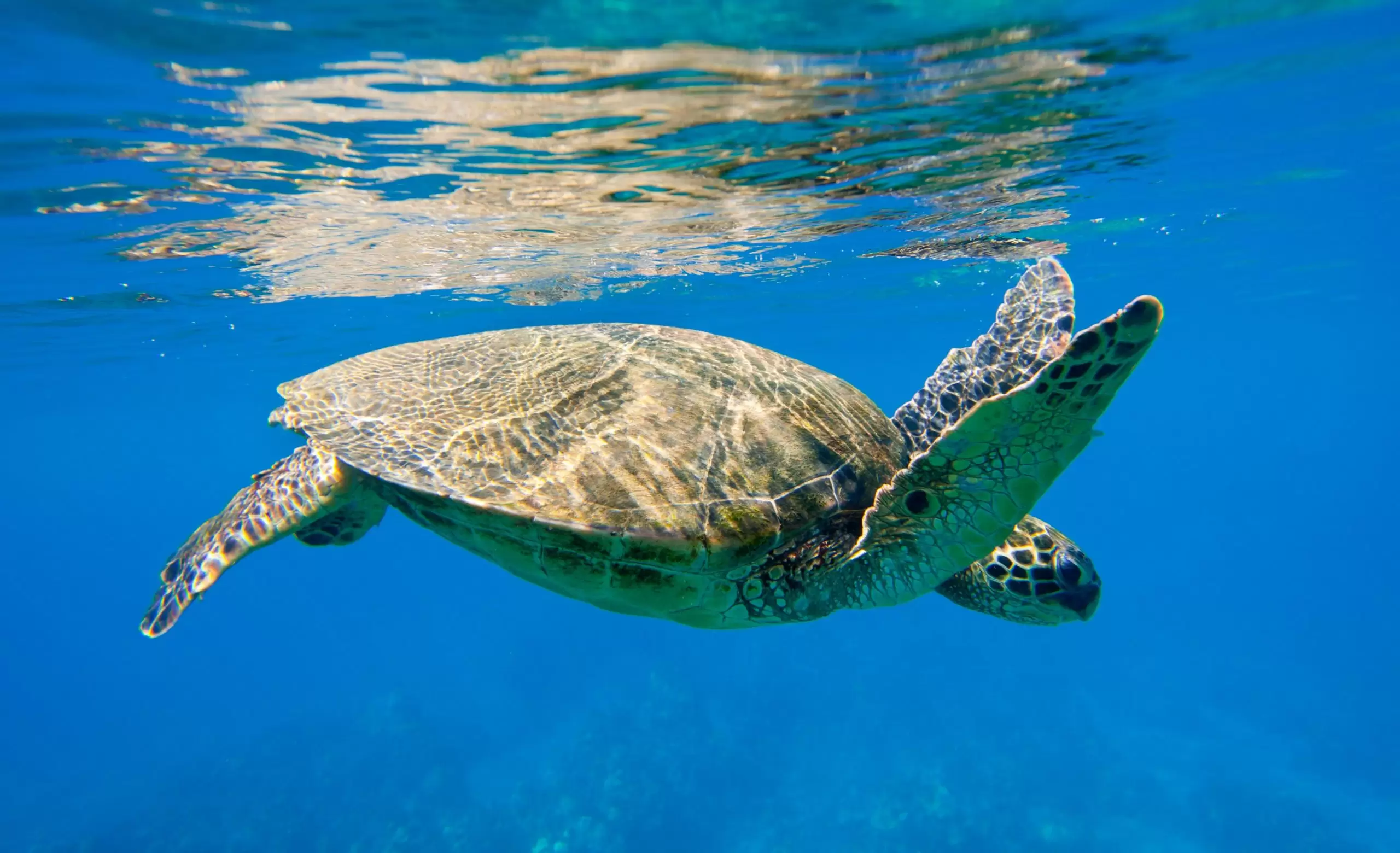 brand_minds_2019_ecoalf-min