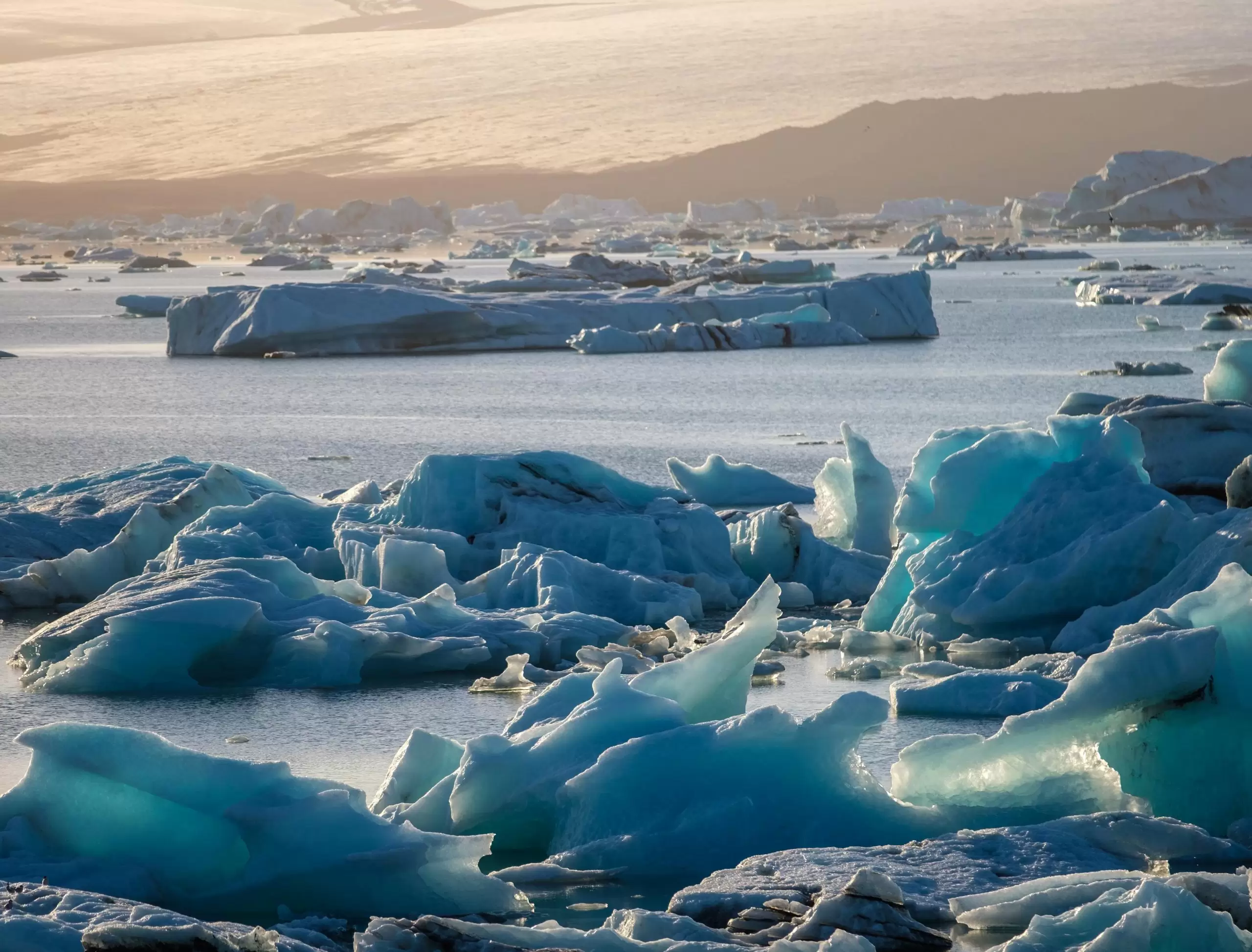 brand_minds_2019_global_sea_levels-min