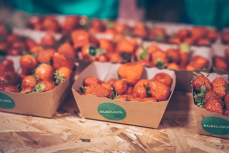 Agricool – Reinventing the Way Strawberries are Grown
