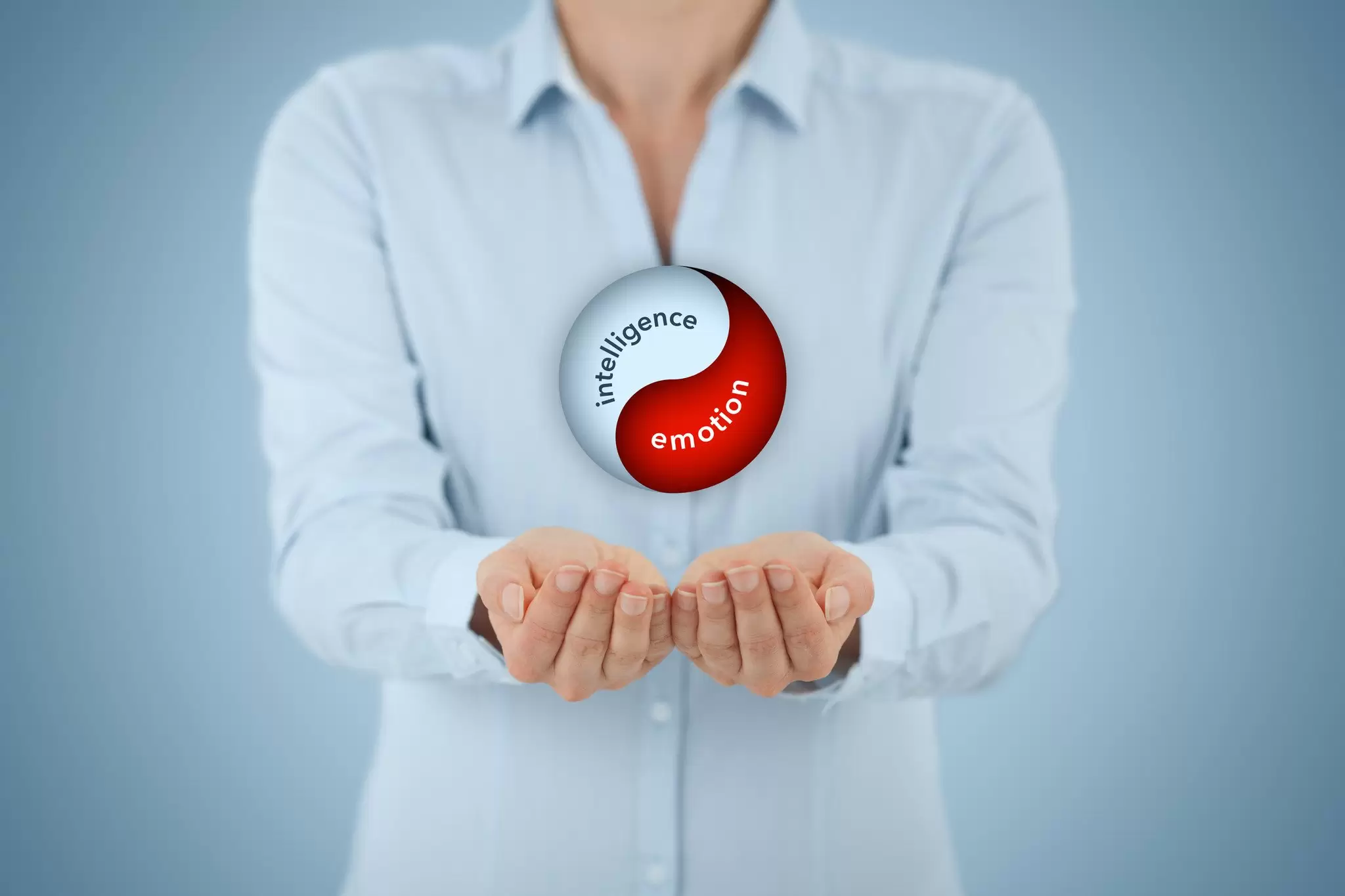 Emotional Intelligence 2.0. in business and how it works