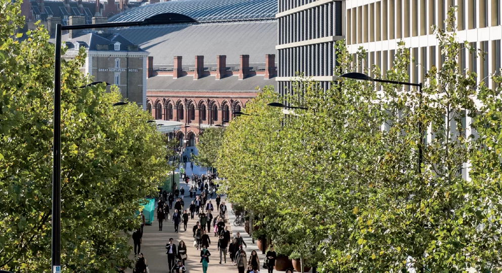 Creative Quarters, bringing beauty and business together